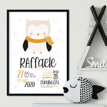 Carica l'immagine nel visualizzatore di Gallery, Quadretto nascita con il gufetto - UNIKREO